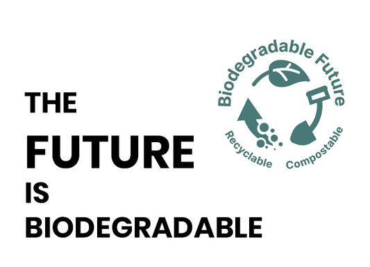 The Future is Biodegradable: Exploring the Benefits of Using a Biodegradable Grounding Mat for Earthing